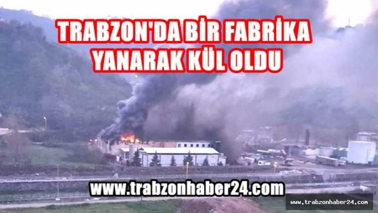 Trabzon Çarşıbaşı'nda Balık İşleme Fabrikası Yanarak Kül Oldu
