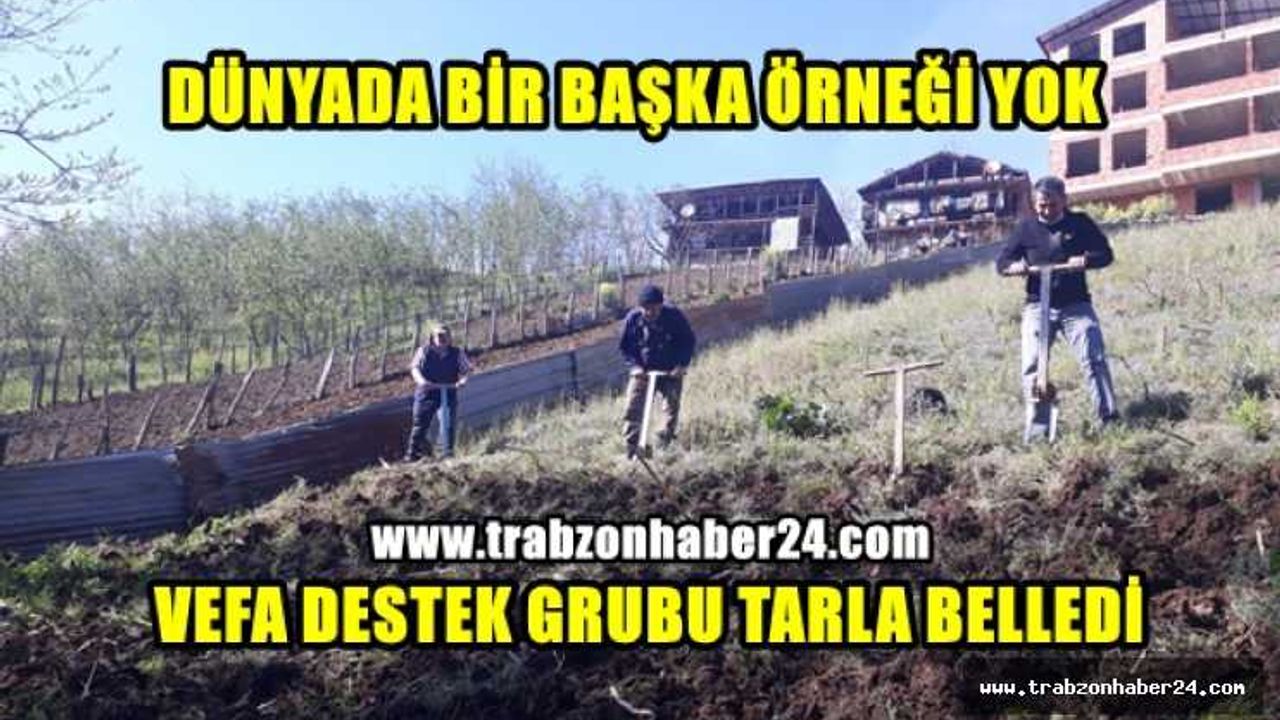 Trabzon Çaykara'da Vefa Destek Grubu Vatandaşın Tarlasını Belledi