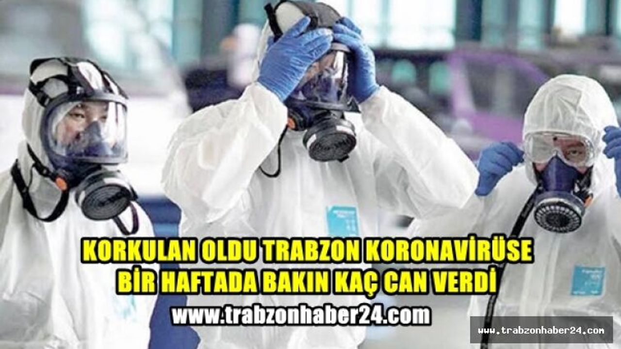 Trabzon'da Son Bir Haftada Koronavirüs'ten Bakın Kaç Kişi Hayatını Kaybetti