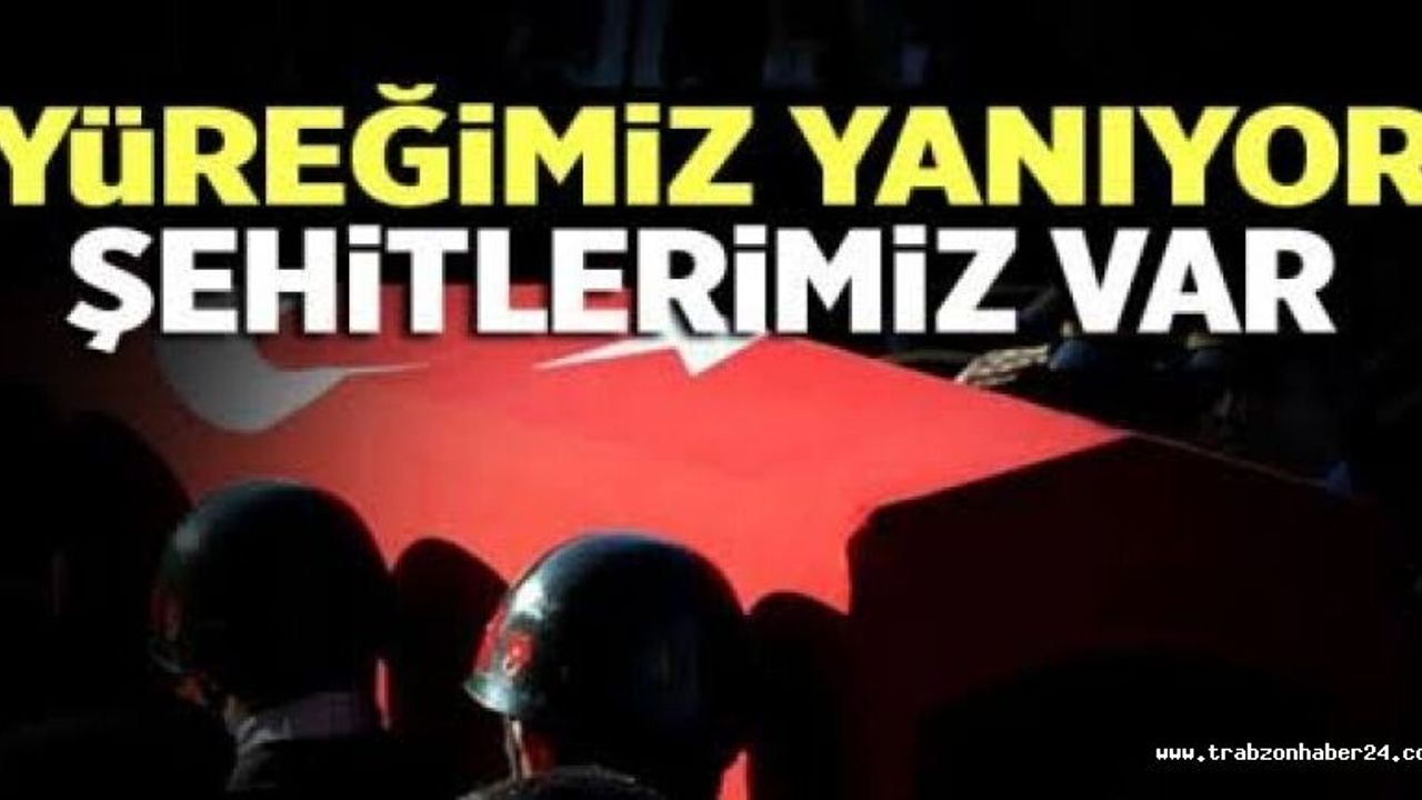 Gara'da 13 vatan evladı şehit! 10'unun kimliği tespit edildi