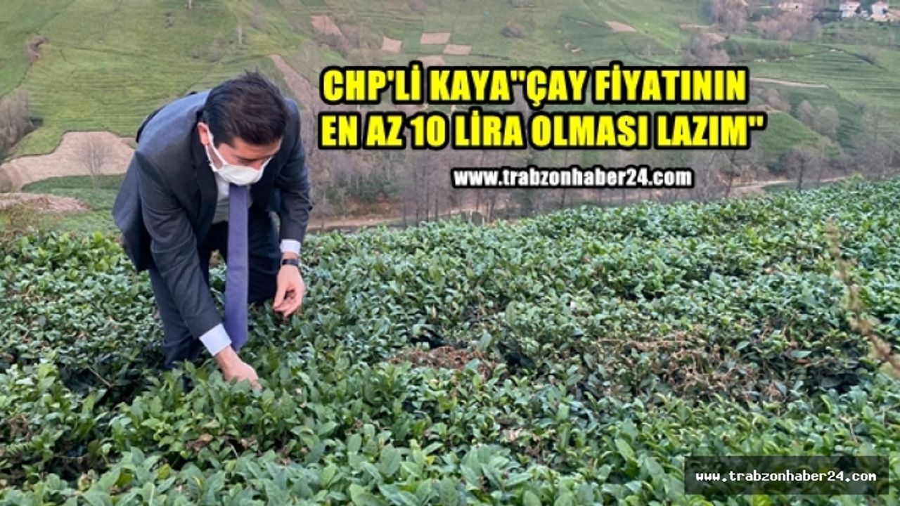 CHP'li Kaya''Yaş Çay Taban Fiyatı En Az 10 Lira Olmalı''