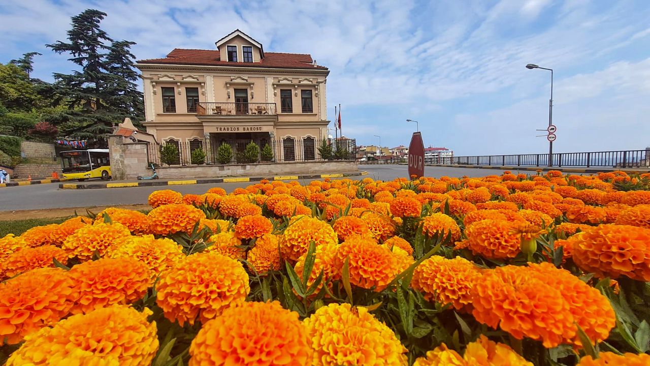 Büyükşehir Trabzon’u Çiçeklerle Donatıyor