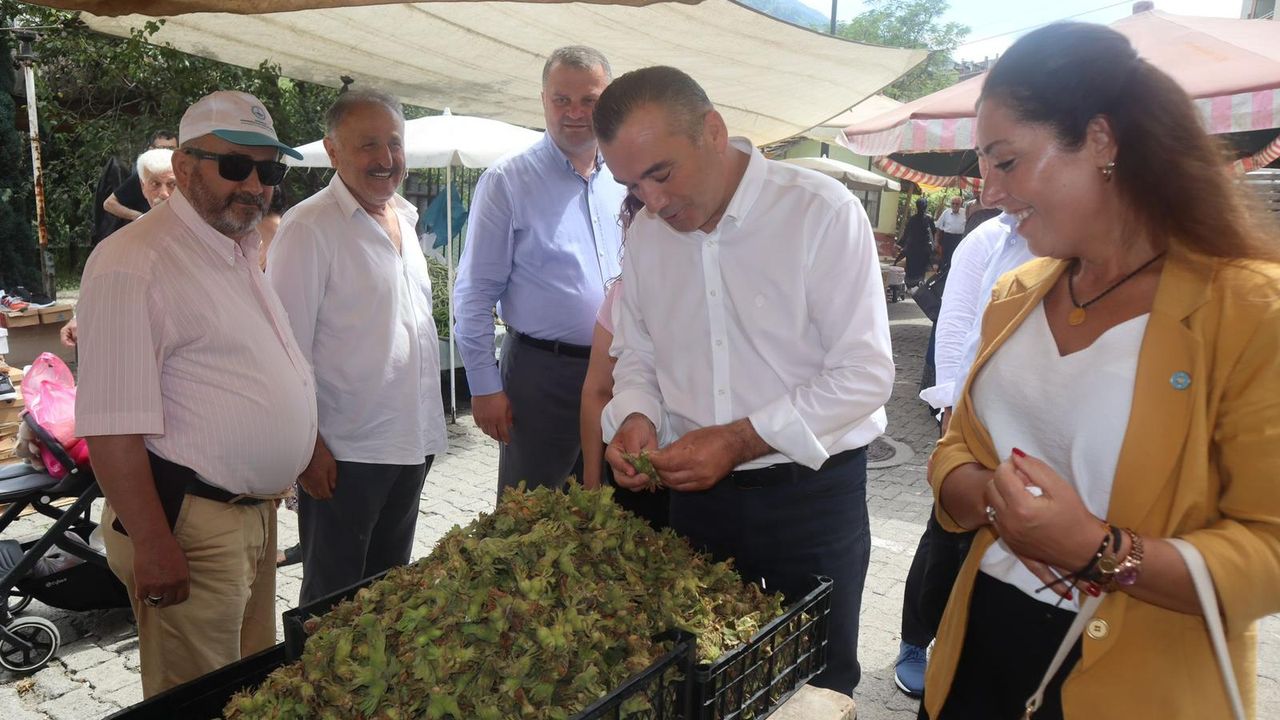 “Trabzonlu fındık üreticisi sahipsiz kaldı”    