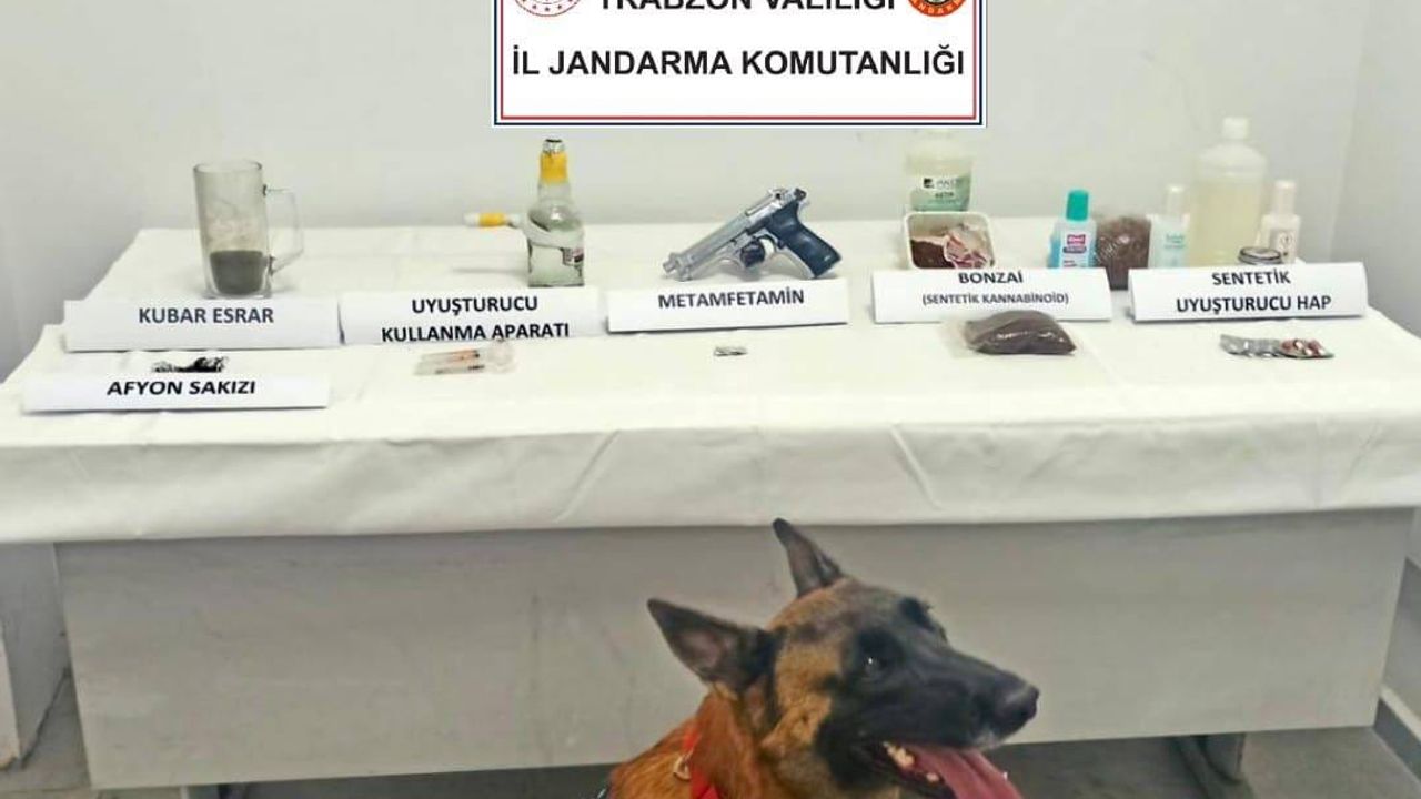 Jandarma Narkotik Köpeği Limon İlk İcraatını Yaptı