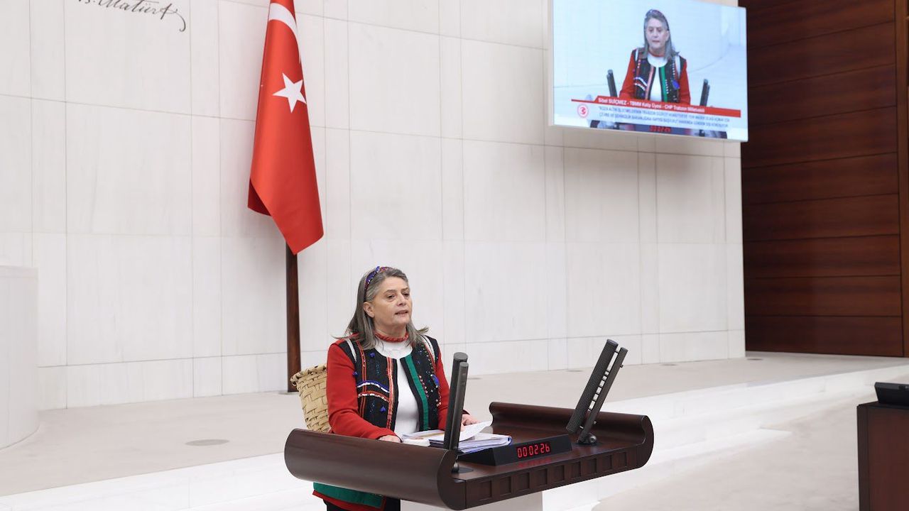 CHP Milletvekili Suiçmez Düzköy ve Araklı’da Yaşanacak Bir Doğa Katliamına Asla Müsade Etmeyiz !