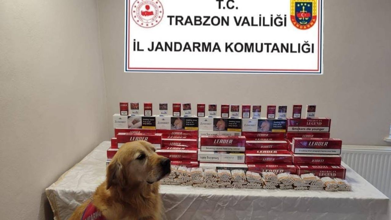 Trabzon’da Kaçak Sigara Baskını