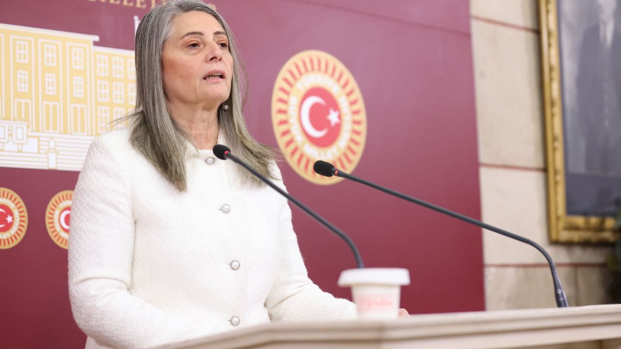 CHP Milletvekili Sibel Suiçmez'den Fındık Taban Fiyatına İlişkin açıklama - Trabzonhaber24