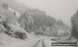 8 Nisan’da Trabzon’a Yine Kar Yağdı