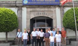 Fındık Toplama Tarihleri Belirlendi