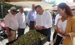 “Trabzonlu fındık üreticisi sahipsiz kaldı”    