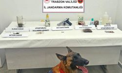 Jandarma Narkotik Köpeği Limon İlk İcraatını Yaptı