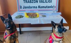 Trabzon İl J.K.lığı Narkotik Timlerinden Operasyon