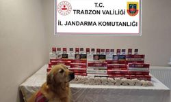Trabzon’da Kaçak Sigara Baskını