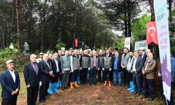 Trabzon’da “Orman Benim”Kampanyası Tanıtıldı