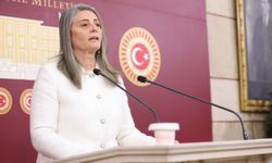 CHP Milletvekili Sibel Suiçmez’den Fındık Taban Fiyatına İlişkin açıklama