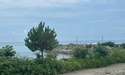 Trabzon’da kıyı kenarında yapılmış ruhsatsız yapılara yıkım kararı