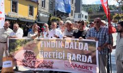 Saadet Partisi Akparti Trabzon il binası önüne fındığı döktü.