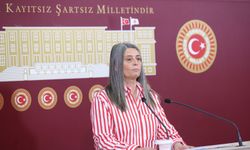 CHP Trabzon Milletvekili Sibel Suiçmez’den KKTC’nin 41. Kuruluş Yıl Dönümü Mesajı