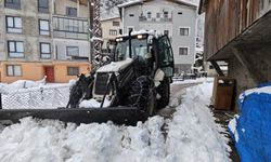 Büyükşehir Ekipleri Karla Mücadeleyi Sürdürüyor