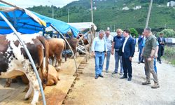 Ortahisar Belediyesi, Kurban Sahalarını Hazırlıyor