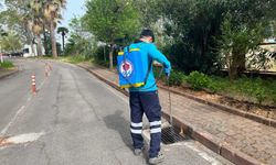 Büyükşehir Vektörle Mücadelede Yaza Hazır