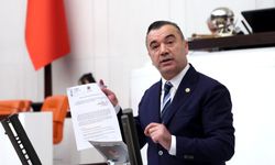 İYİ Parti Trabzon Milletvekili Yavuz Aydın, fındıkla ilgili sorunlarla ilgili araştırma önergesi verdi