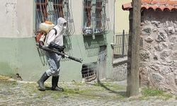 ORTAHİSAR BELEDİYESİ’NDEN, YOĞUN YAZ MESAİSİ