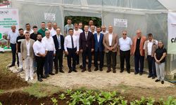 Akçaabat Tarımda Örnek Olmaya Devam Ediyor