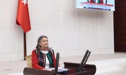 Suiçmez’den Fındık Fiyatı Tepkisi: “FINDIKTA BU FİYAT, EMEK SAYGISIZLIĞIDIR!”