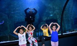 Deniz Kızı Gösterisi İle Masallar, Trabzon Akvaryum’da Canlandı