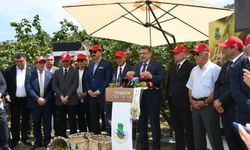 Başkan Genç’ten Fındıkta Kalite ve Verim Çağrısı