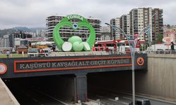 Yomra Elması Yine Gündem Oldu