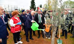 Milli Ağaçlandırma Günü’nde Fidanlar Toprakla Buluştu