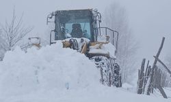 Şalpazarı Beyaza Büründü