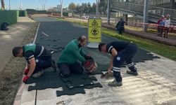 BÜYÜKŞEHİR SAHİLDEKİ YÜRÜYÜŞ YOLUNU YENİLİYOR