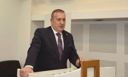 Çelebi: Vergi çeşitlendirmesi çok fazla, sadeleştirilmesi gerekiyor