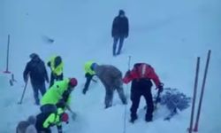 Artvin'de 3 Çoban 1000 Koyunla Çığ Altında Kaldı