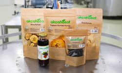 AKÇAABAT’IN MEYVE SEBZE FABRİKASI ÜRETİME DEVAM EDİYOR