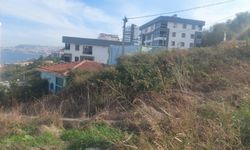 Vatandaştan Çankaya’ya; Çankaya’dan Tiskiye: