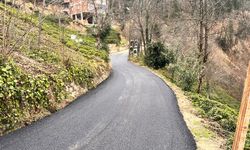 BÜYÜKŞEHİR CADDELERİ YENİLEMEYİ SÜRDÜRÜYOR