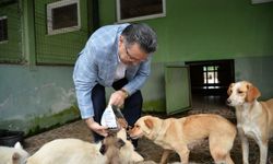 BÜYÜKŞEHİR'DEN ÜRETİM, TARIM VE YAŞAMA DEĞER KATAN HİZMETLER