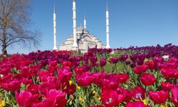 BÜYÜKŞEHİR'DEN DAHA YEŞİL TRABZON ATAĞI