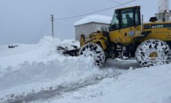 BÜYÜKŞEHİR EKİPLERİ MAĞDURİYETE FIRSAT VERMİYOR