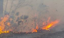 Sürmene’de başlayan yangın Araklı’ya sıçradı