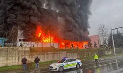 Trabzon'da Fabrika Yangını! Arsin OSB'de Fındık Deposu Alev Alev Yanıyor
