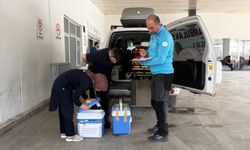 Trabzon UMKE Hayat Kurtarmak İçin Zamanla Yarıştı