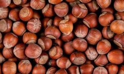 TMO NE YAPMAK İSTİYOR!