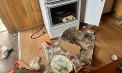 Trabzon’da Ayılar Yayla Evlerine Girdi: Kapı-Pencere Kırıp Talan Ettiler