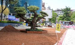 MEYDAN VİYADÜK ALTI MODERN YAŞAM ALANINA DÖNÜŞÜYOR