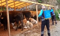 BÜYÜKŞEHİR’DEN KURBAN ALANLARINDA HİJYEN SEFERBERLİĞİ